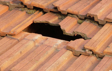 roof repair Long Load, Somerset