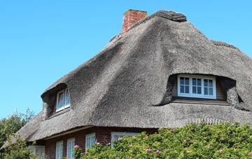 thatch roofing Long Load, Somerset